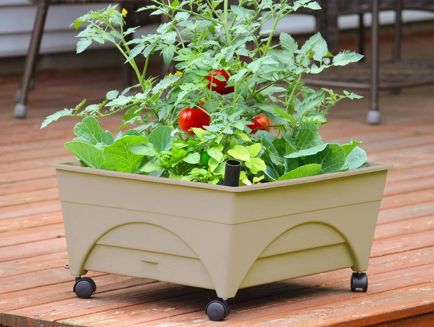 Self-Watering Raised Garden Bed with Casters - Mobile Planter Box for Easy Aeration and Gardening