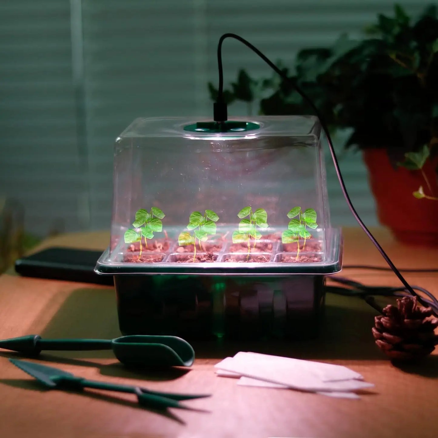 Grow stronger, healthier seedlings with this all‑in‑one 12‑cell starter kit. full‑spectrum grow light, adjustable humidity dome, and deep planting cells that support fast sprouting.