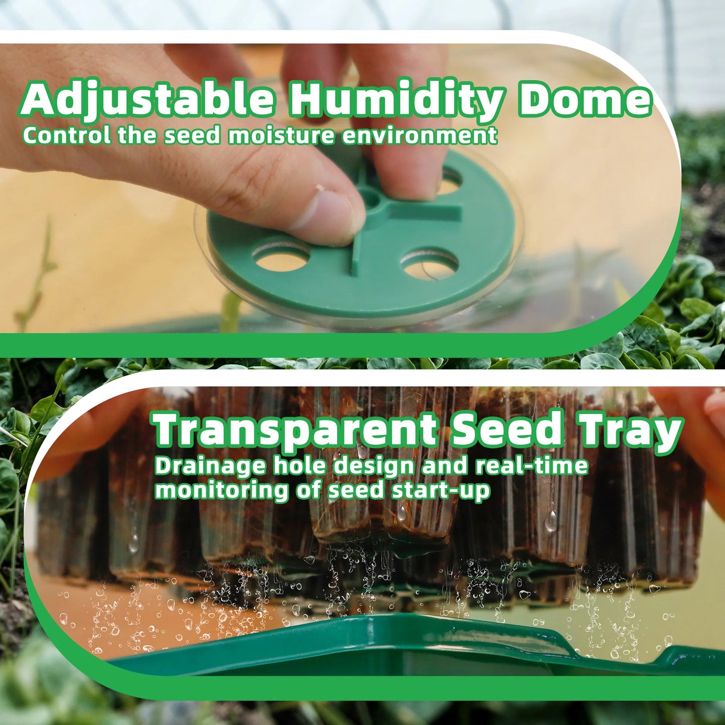 5pcs Seedling Starter Trays with LED Grow Light – Elevated Indoor Seed Starter Kit