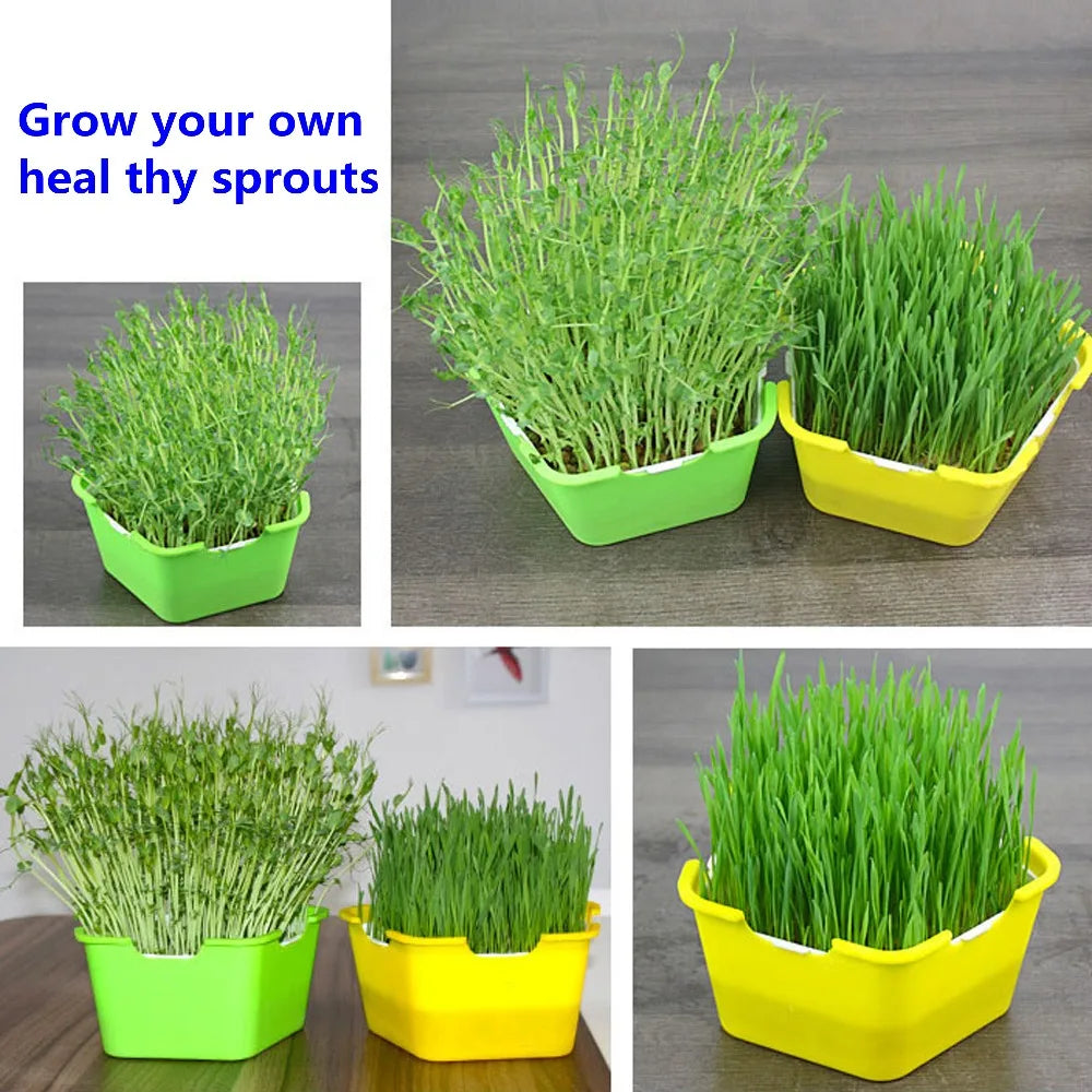 Sprout Planting Pot Bean Sprouter Seedling Tray Wheat Grass Growing Germination Healthy Sprouts for Salads Home Garden Supplies