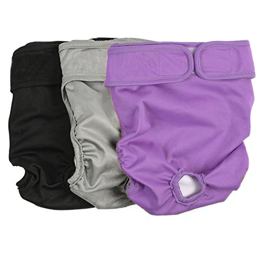 Waterproof Breathable Labrador Medium Large Dog Female Canine