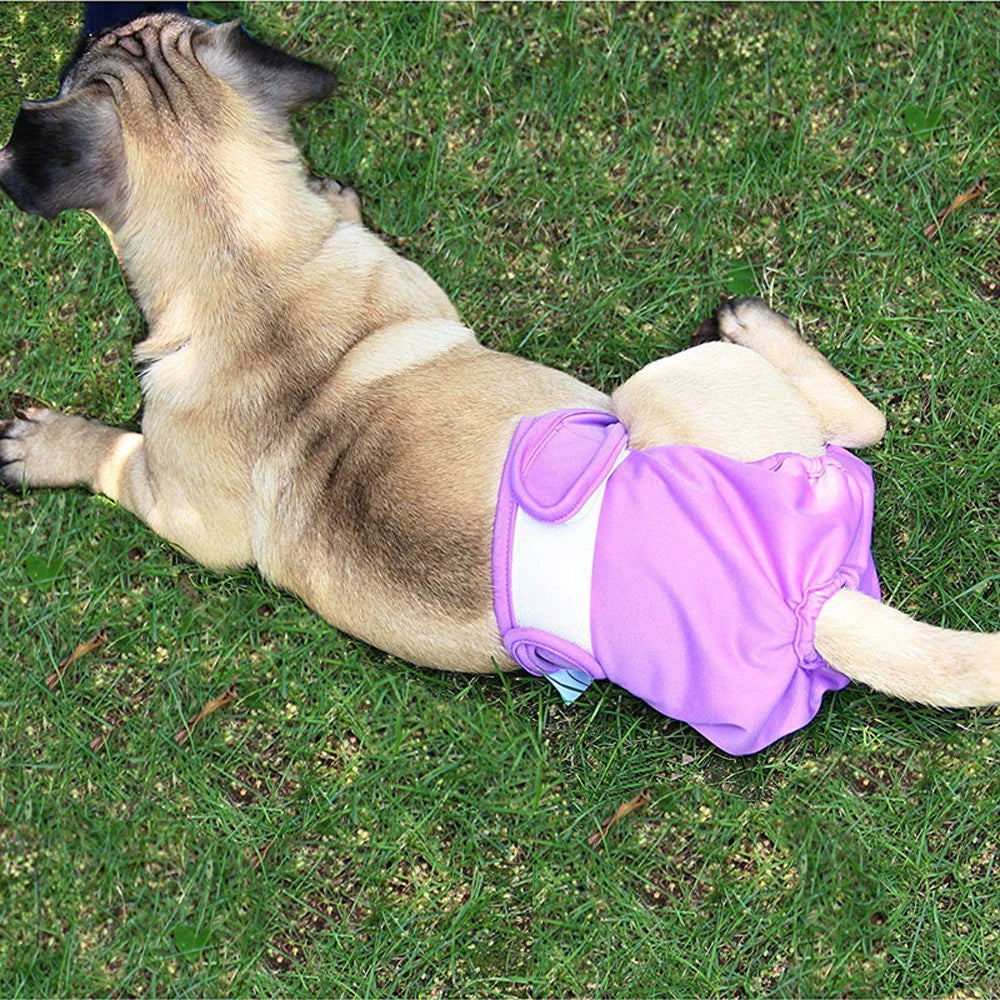 Waterproof Breathable Labrador Medium Large Dog Female Canine
