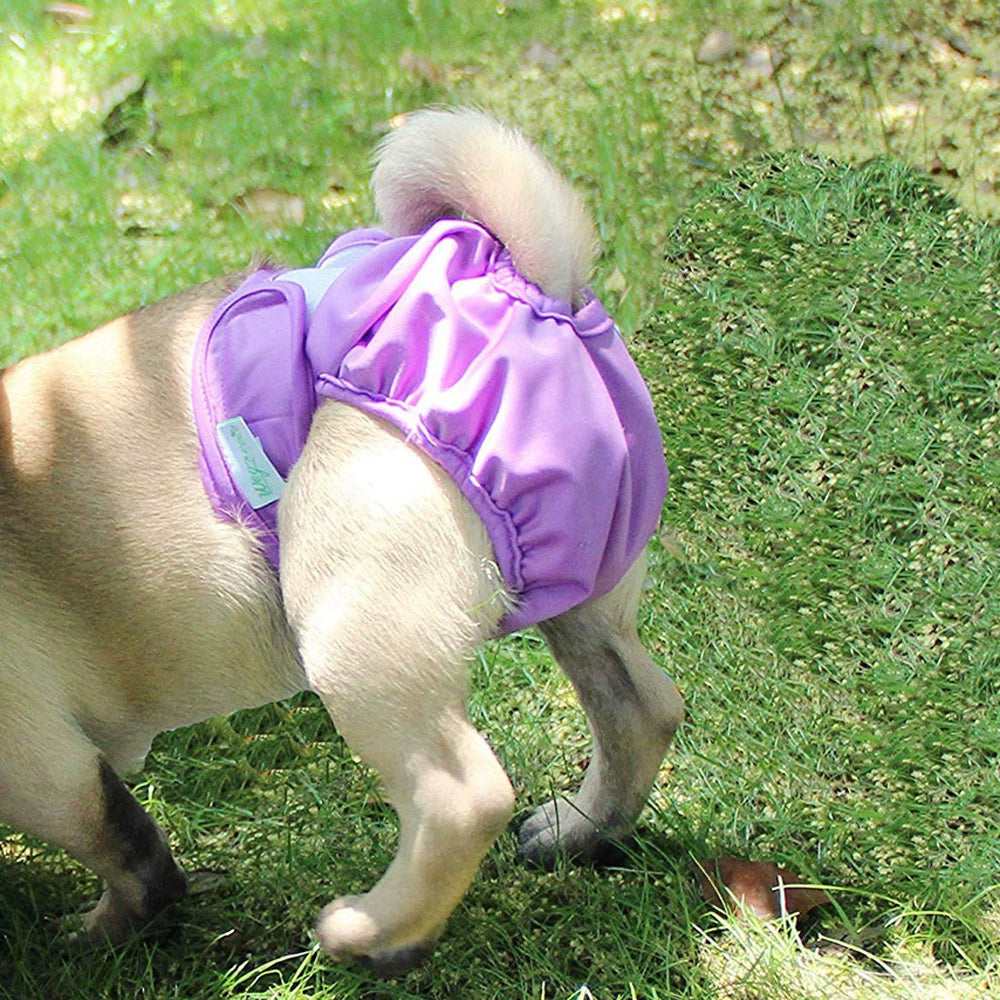 Waterproof Breathable Labrador Medium Large Dog Female Canine