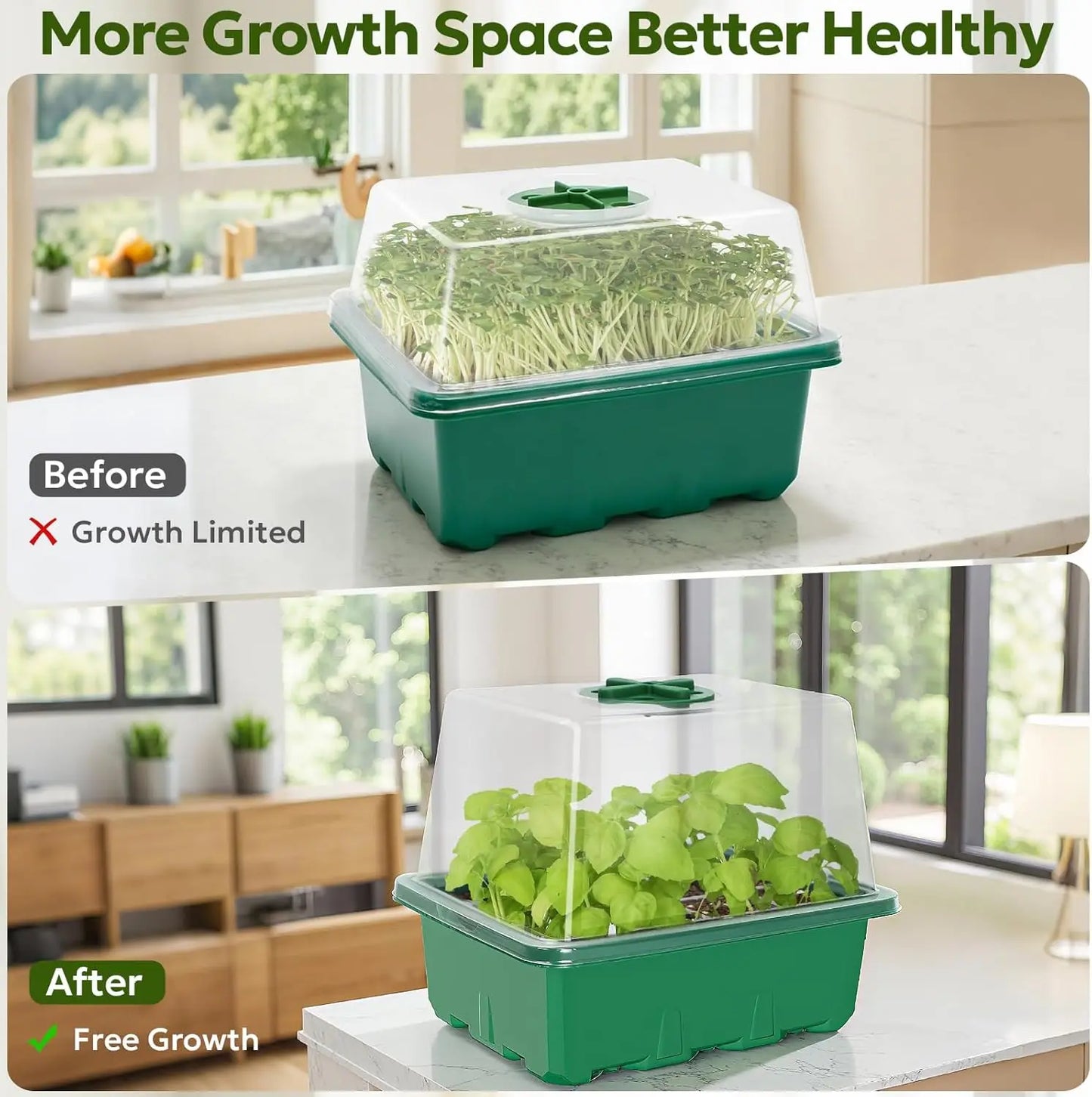 Seed Starter Kit with Grow Light – Elevated Seedling Tray with Adjustable Humidity Dome, 12 Full‑Spectrum LED Beads, 6‑Pack (Green).
