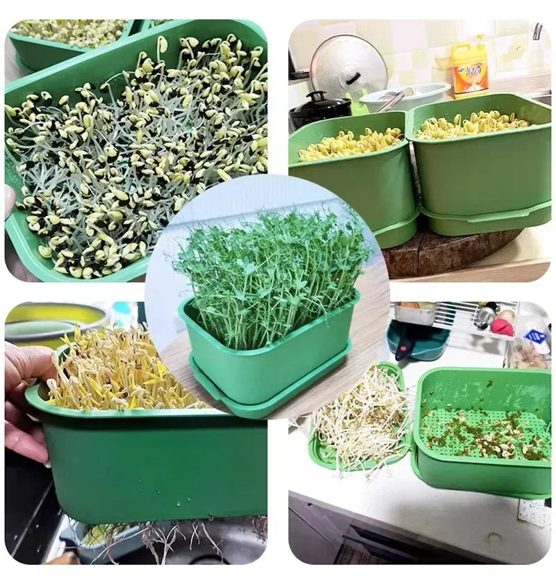 1/3PCS Plastic Grow Nursery Pots Vegetable Soilless Nursery Trays Seed Germination Tray Seedling Sprout Plate Garden Supplies