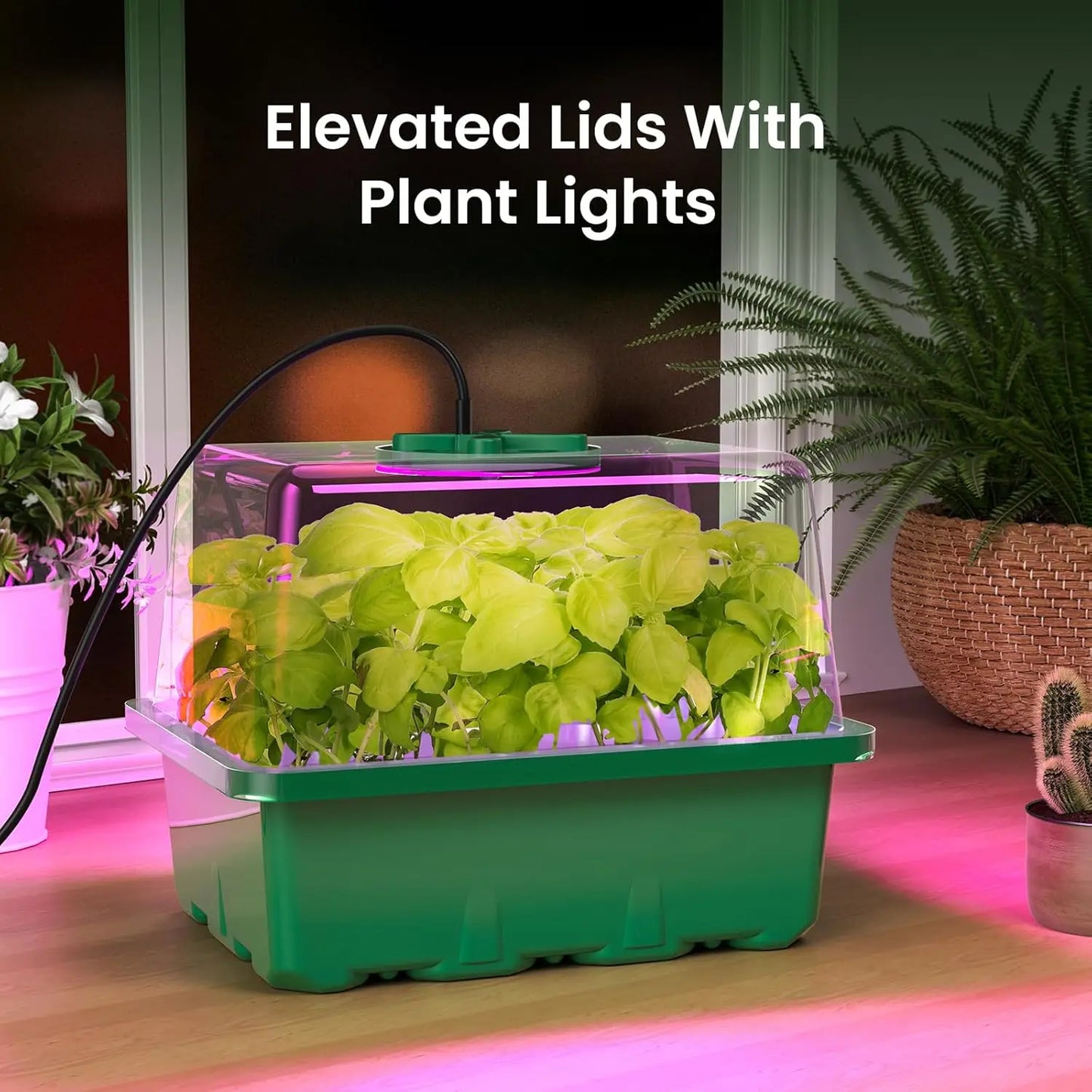 Seed Starter Kit with Grow Light – Elevated Seedling Tray with Adjustable Humidity Dome, 12 Full‑Spectrum LED Beads, 6‑Pack (Green).