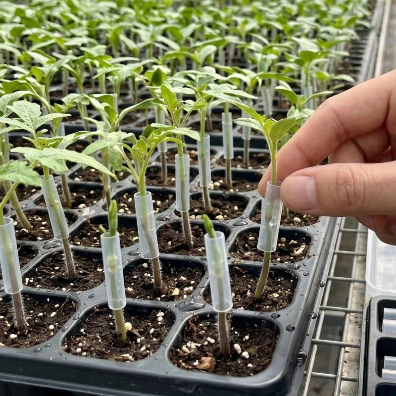 Gardening Special Grafting Casing Sleeves Flexible Garden Tree Plant Seedlings Vine Tomato Grafting Transparent Tube Accessories