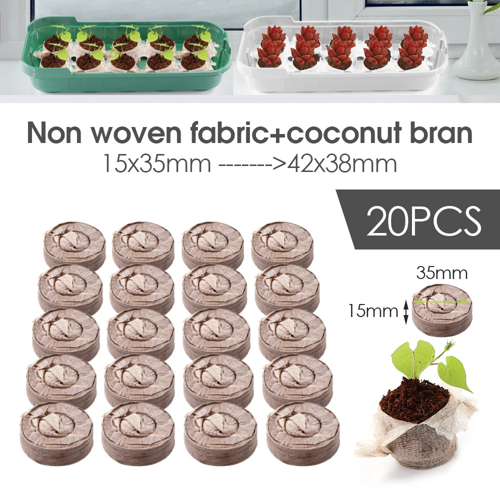 10‑Cell Seedling Trays Germination Box with Nursery Block Peat Pellets & Transparent Cover.
