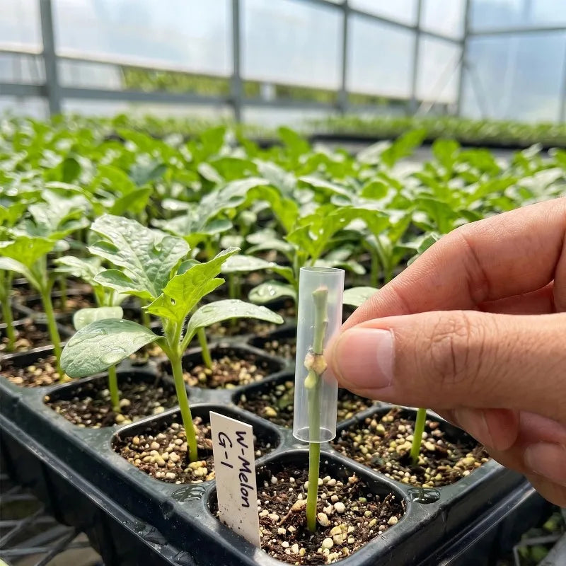 Gardening Special Grafting Casing Sleeves Flexible Garden Tree Plant Seedlings Vine Tomato Grafting Transparent Tube Accessories