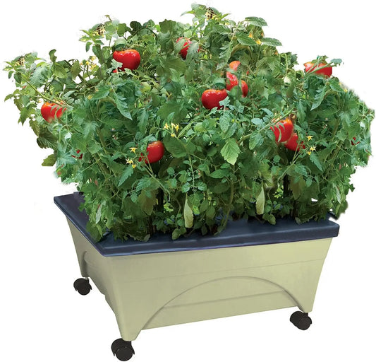 Self-Watering Raised Garden Bed with Casters - Mobile Planter Box for Easy Aeration and Gardening