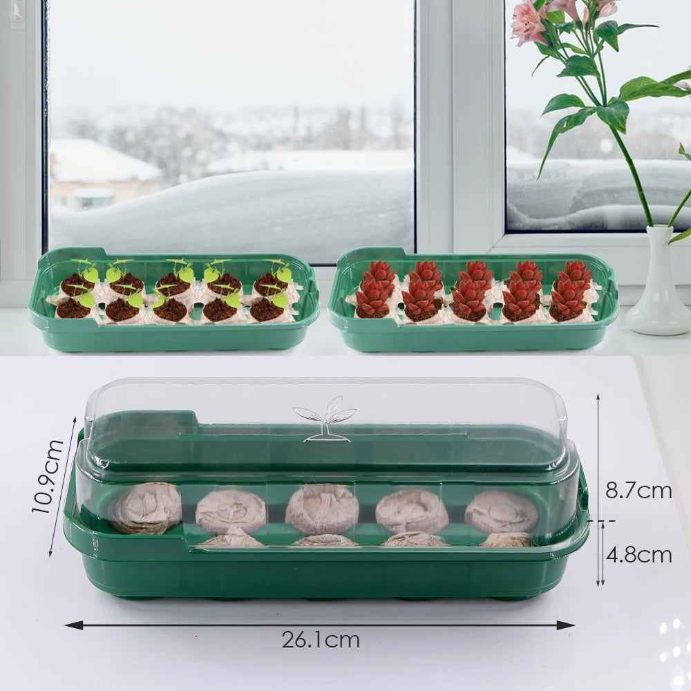 10‑Cell Seedling Trays Germination Box with Nursery Block Peat Pellets & Transparent Cover.