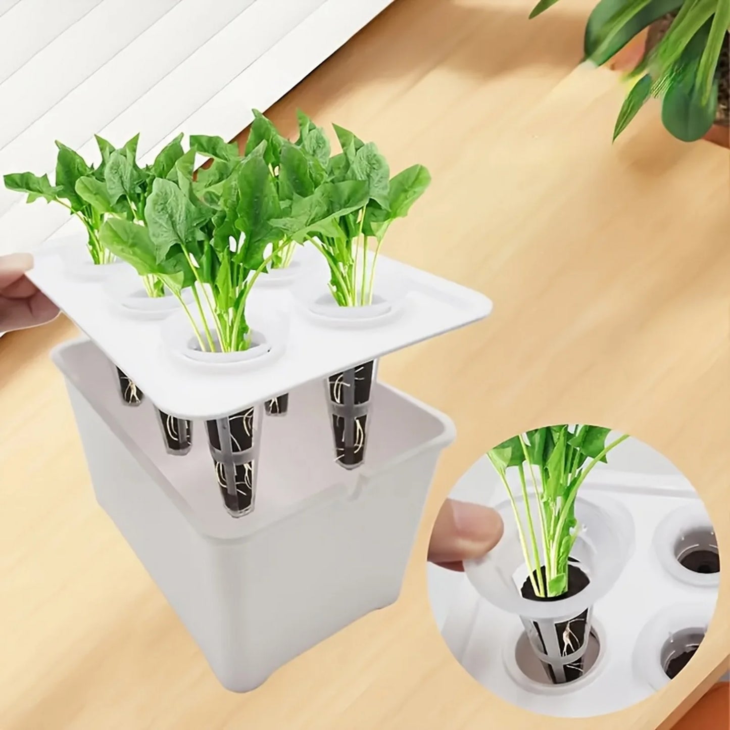 Plant Grower Box Indoor Hydroponic Boxes Nursery Pots Set with Seedling Cups for Plants Herb Garden Planting Container