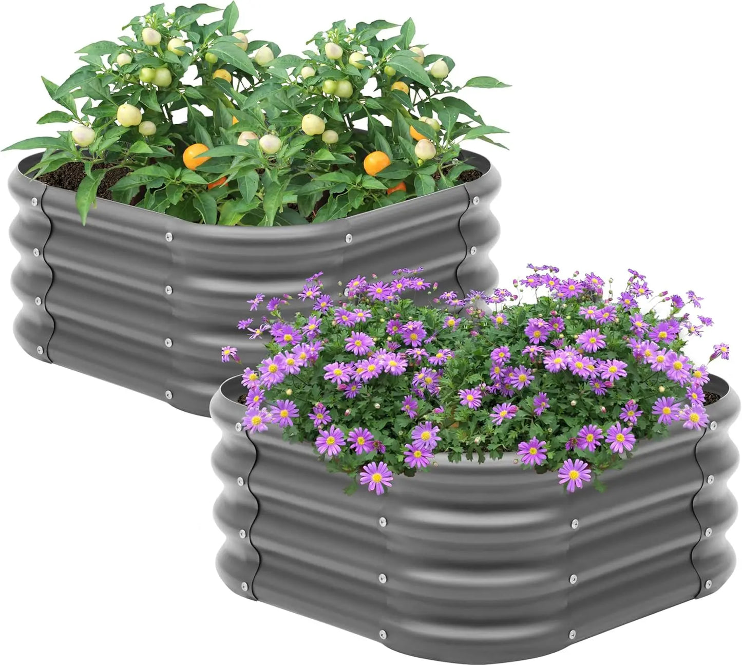 2-Pack Metal Raised Garden Bed, 2x1ft Outdoor Planter Box for Vegetables and Flowers, Dark Grey